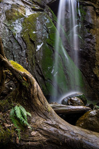 Scenic view of waterfall in forest