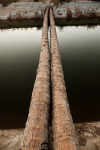 Close-up of tree trunk by lake