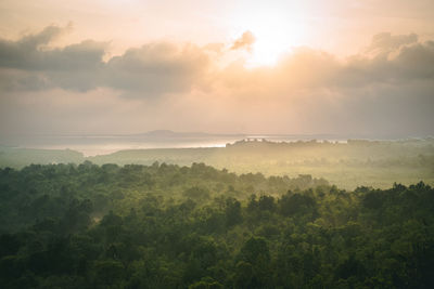 Scenic view of landscape against sky during foggy weather