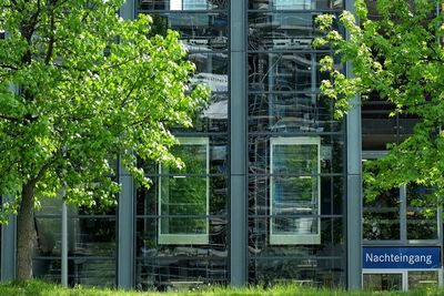 View of trees and buildings