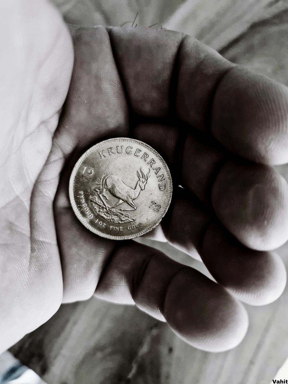finance, hand, coin, currency, holding, black and white, one person, business, money, close-up, wealth, monochrome, savings, monochrome photography, cash, finance and economy, adult