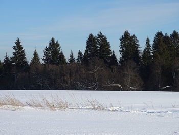 Snow covered field against sky