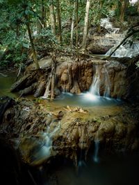 Scenic view of waterfall in forest