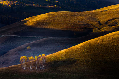 Scenic view of field against yellow sky