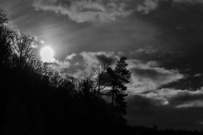 Low angle view of silhouette tree against sky at night