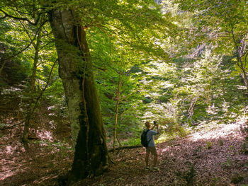 Man standing by tree and taking a picture in forest