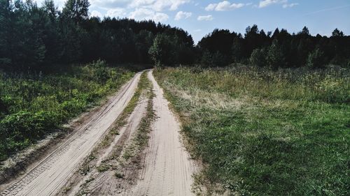 Road amidst trees in forest against sky