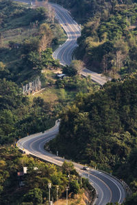 High angle view of road amidst trees