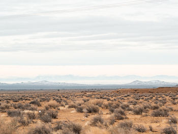 Scenic view of desert against sky