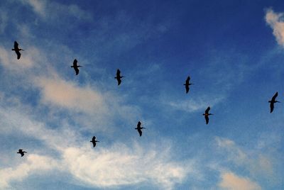 Low angle view of airplane flying against cloudy sky