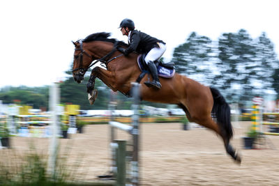 Man riding horse