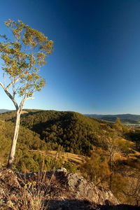 Scenic view of landscape against clear blue sky