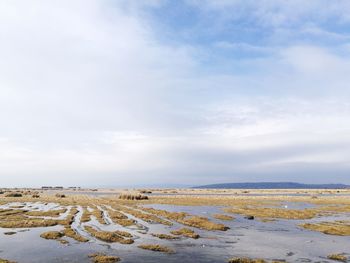 Scenic view of salt marsh against sky