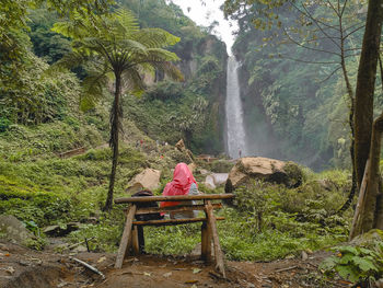 Rear view of woman sitting by plants in forest