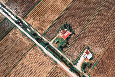 High angle view of agricultural field