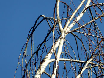 Low angle view of basketball hoop against clear blue sky