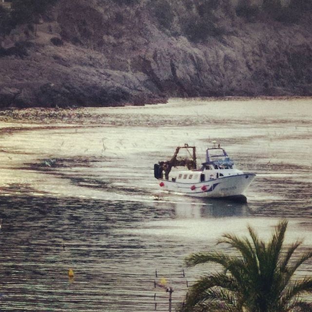 transportation, nautical vessel, mode of transport, boat, water, moored, sea, travel, nature, tranquil scene, tranquility, beauty in nature, scenics, lake, high angle view, river, outdoors, waterfront, sailing, tree