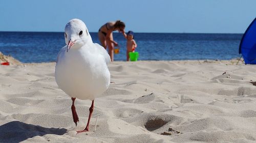 beach