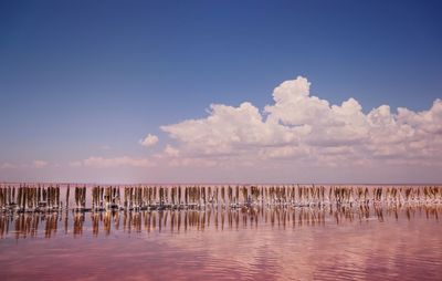 Wooden posts in sea against sky