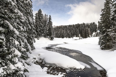 Scenic view of snow covered landscape