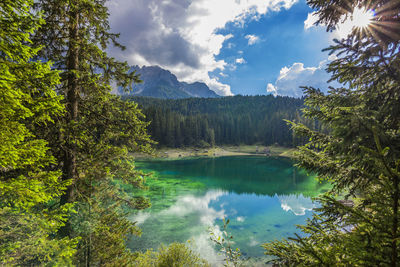 Scenic view of lake and trees against sky