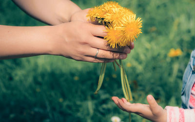 Cropped hands of mother giving flowers to daughter