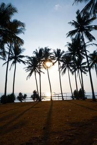 Silhouette palm trees on beach against sky during sunset