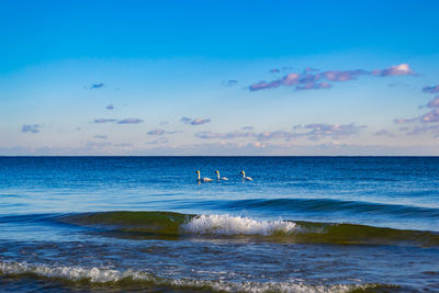 Scenic view of sea against blue sky