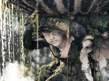 Close-up of statue against trees