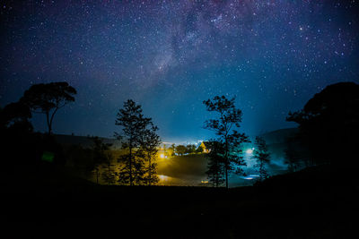 Silhouette trees against sky at night