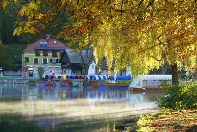 Scenic view of lake by trees during autumn