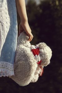 Close-up of hand holding toy