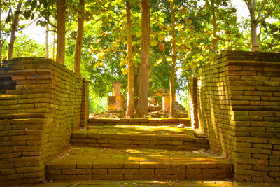 Trees and building against sky