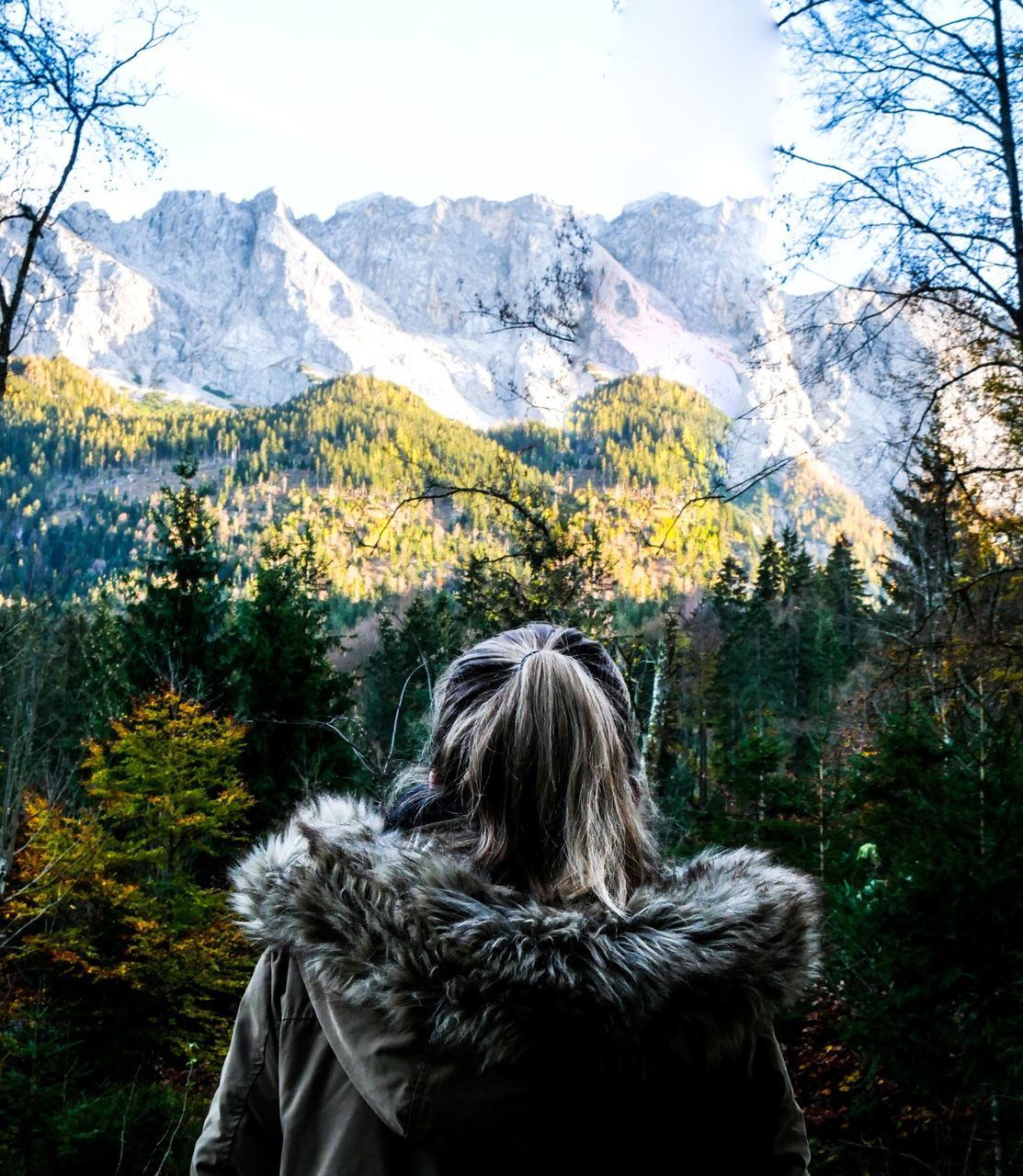 REAR VIEW OF PERSON IN FOREST