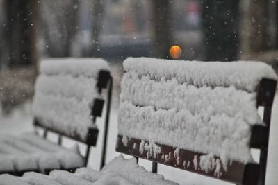 Close-up of christmas tree during winter