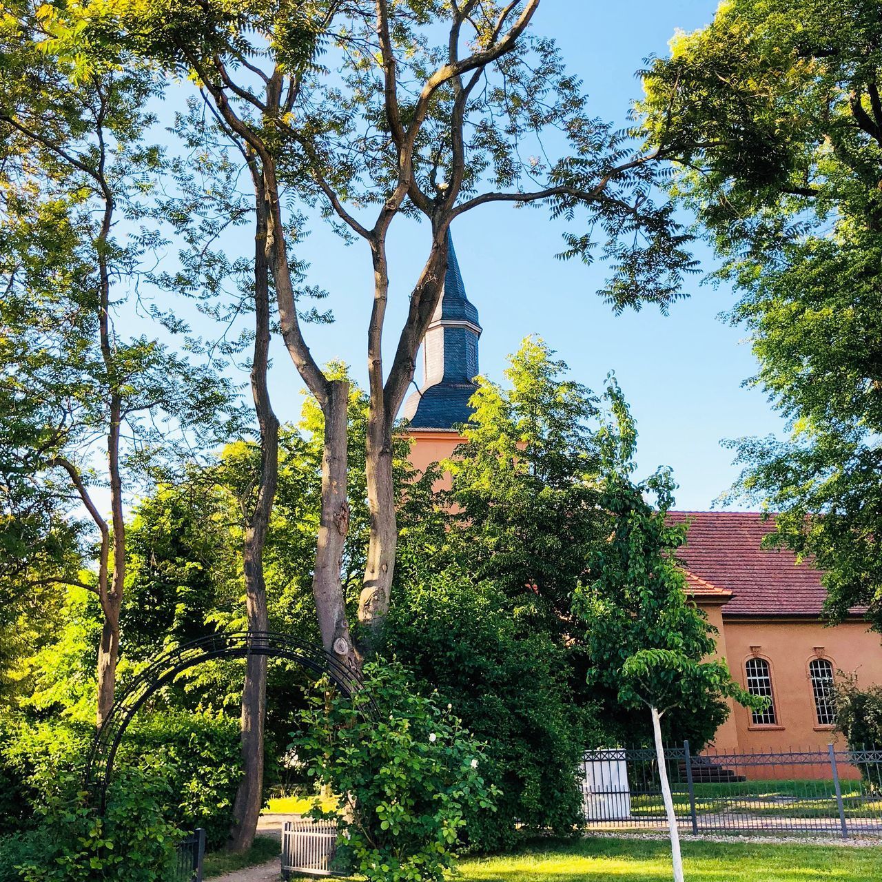 LOW ANGLE VIEW OF TREES AND PLANTS AGAINST SKY