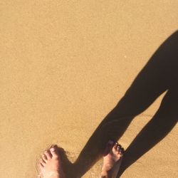 Low section of people standing on beach