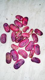 High angle view of pink petals on floor