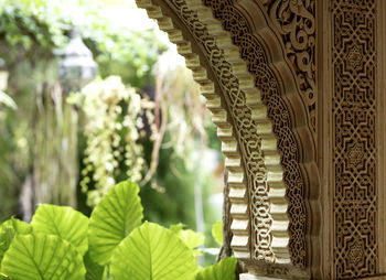 Close-up of ornate plants