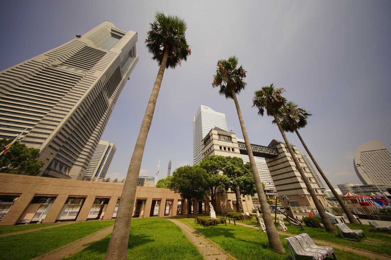 LOW ANGLE VIEW OF OFFICE BUILDING AGAINST SKY