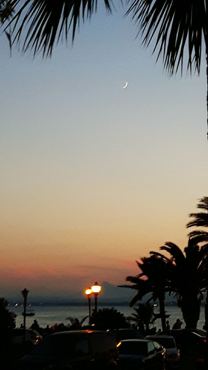 PALM TREES ON BEACH AGAINST SKY AT SUNSET