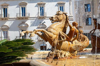 Horses that represent a hunting scene in the fountain of diana in ortigia, siracusa.