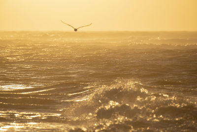 View of sea at sunset