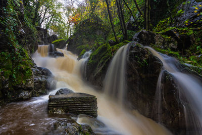 Low angle view of waterfall in forest