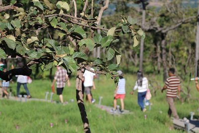 Rear view of people walking on field