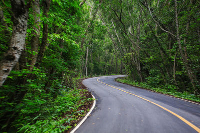 Road amidst trees in forest