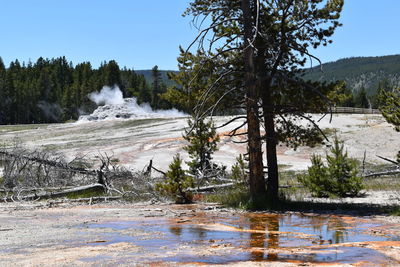 Hot spring at yellowstone national park during winter