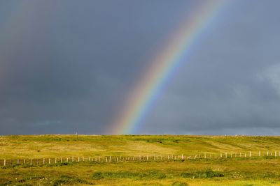 Scenic view of rainbow over field against sky