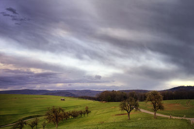 Scenic view of field against sky