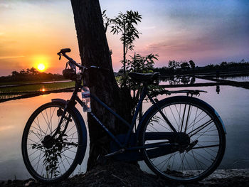 Bicycle by tree against sky during sunset
